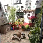 Lägenhet Doble Con Terraza En El Albayzin